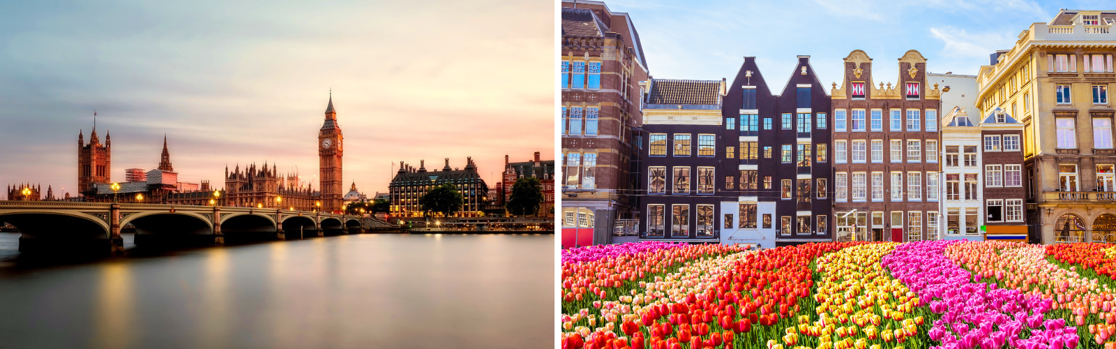 A split image featuring the London skyline with Big Ben at sunset on the left, and a vibrant Amsterdam street lined with tulips on the right.